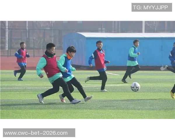 淄博足球热潮再起青少年踢球热情高涨助力城市体育发展