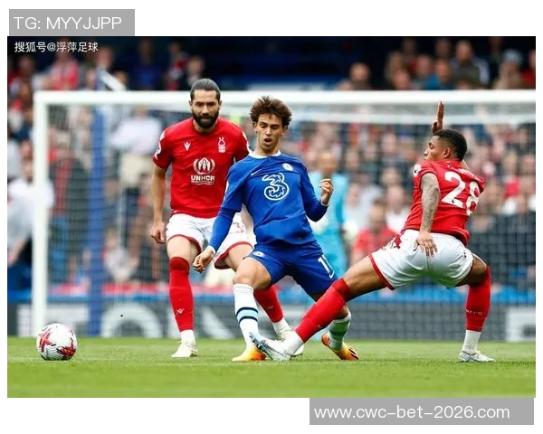 法国足球明星的辉煌历程与对世界足球的深远影响