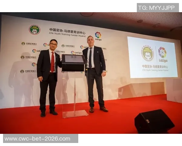 足球证书的重要性与获取途径解析助你成为足球领域的专业人士